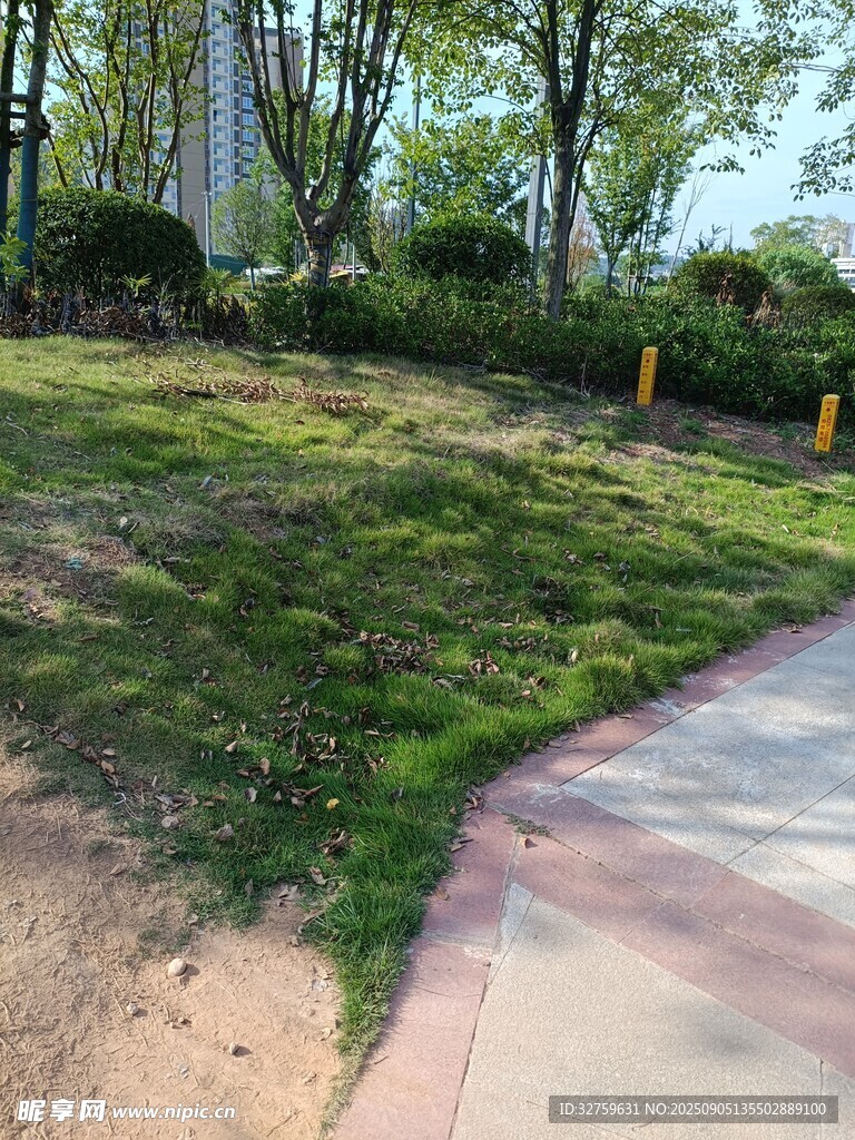 戶外草地旁的小徑