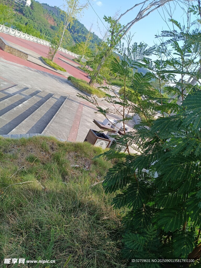 戶外階梯旁的綠植景觀