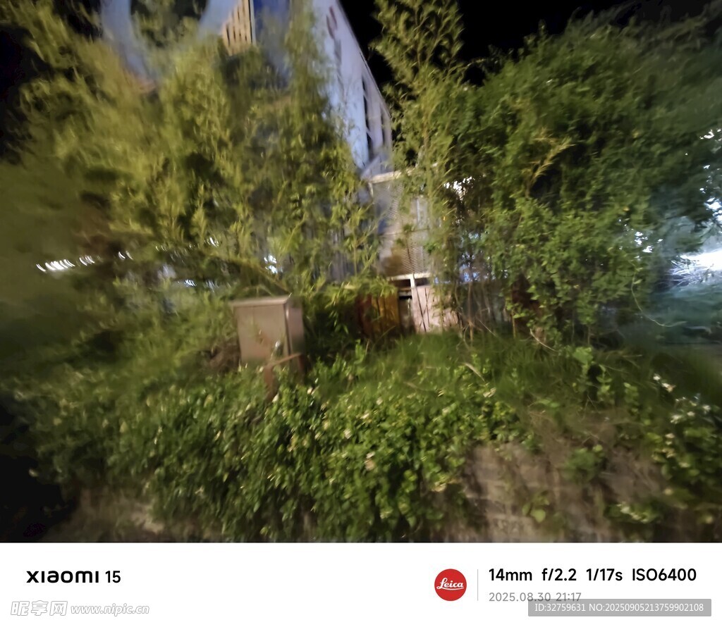夜晚綠植環(huán)繞的靜謐場景