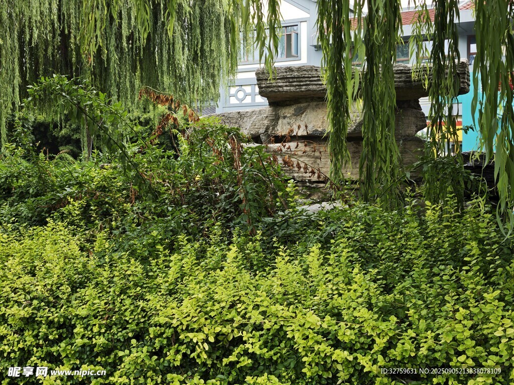 湖畔綠植環(huán)繞的靜謐景致