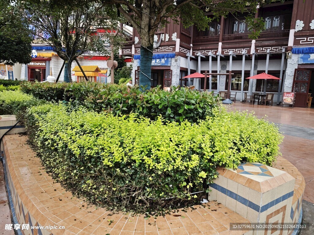 城市街頭精致綠植景觀