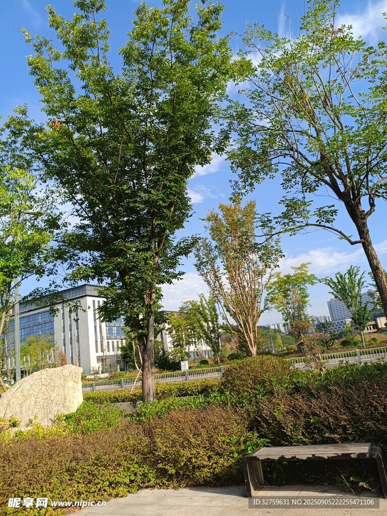城市公園綠意盎然景致