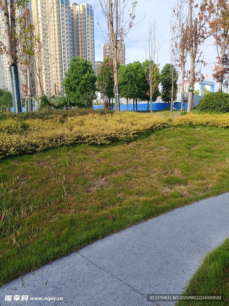 城市中的綠地與小徑
