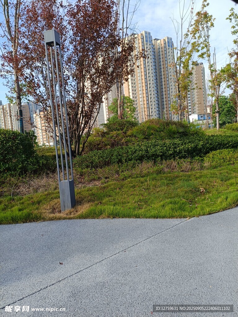 城市路邊綠植景觀