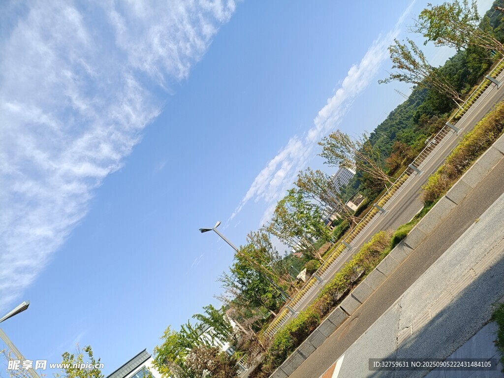 晴朗戶外道路旁綠植景觀