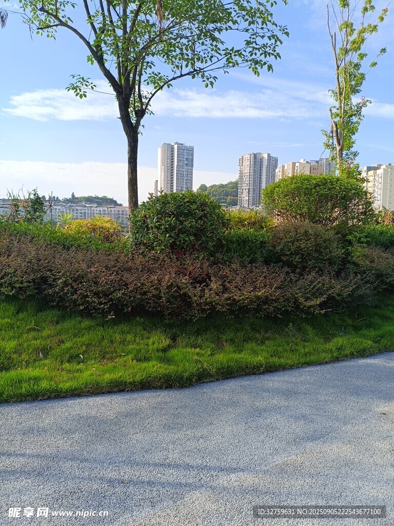 城市路邊綠意盎然景致