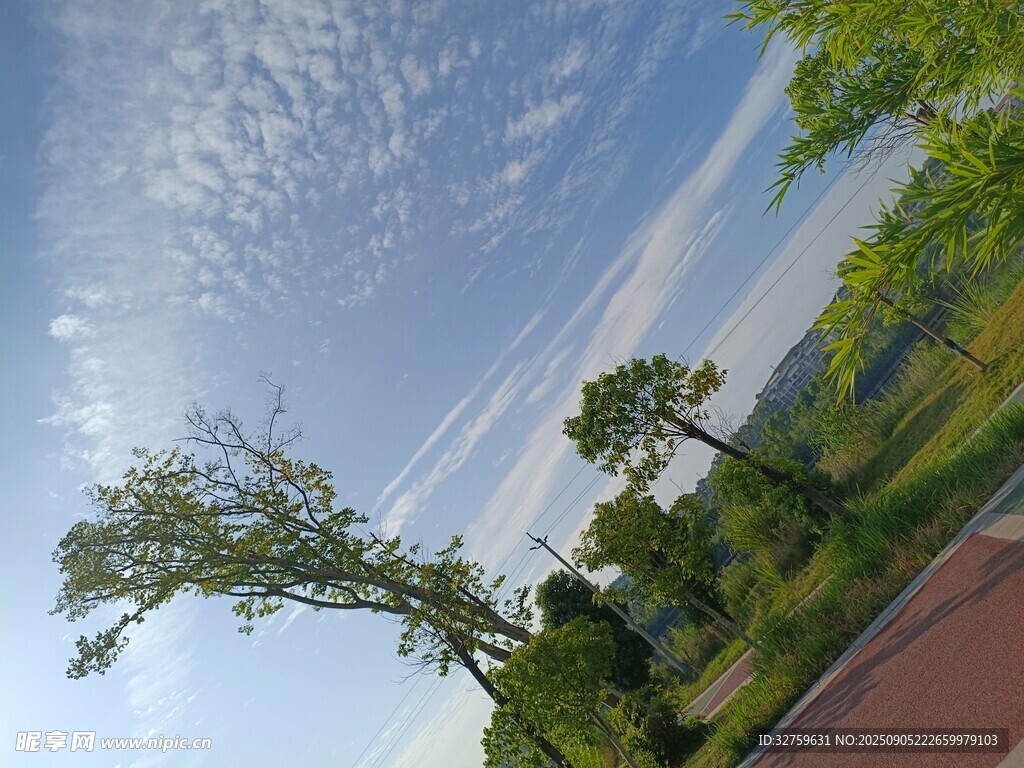 湖畔綠樹藍天風(fēng)景如畫