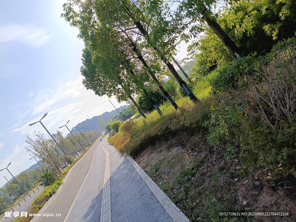 鄉(xiāng)村林間小路風景