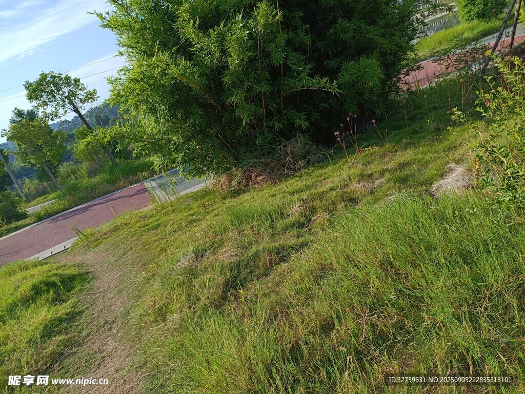 戶外草地小徑風(fēng)景