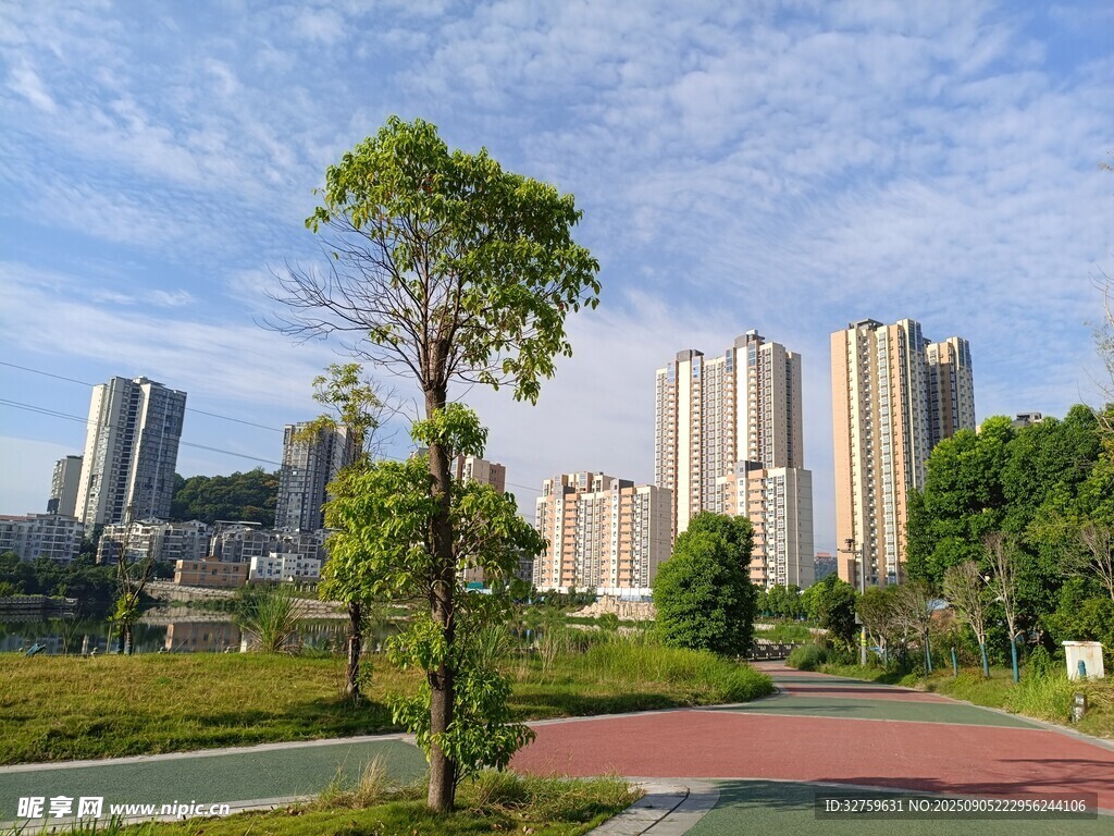 城市公園中的綠樹與高樓