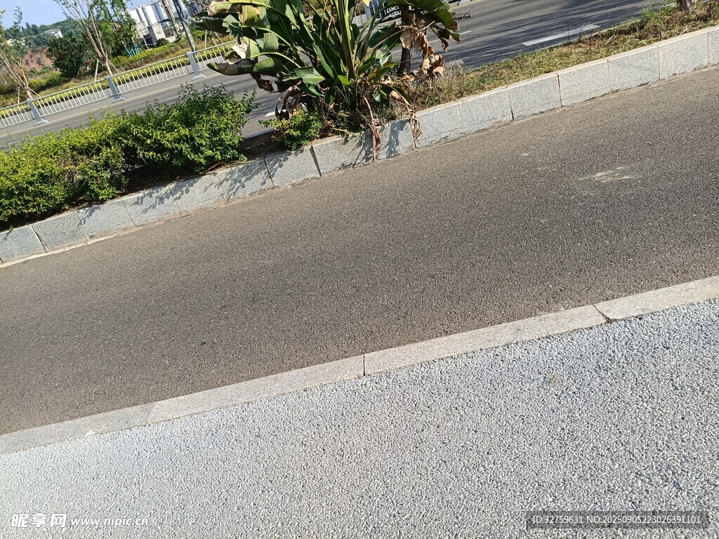 路邊綠植與灰色路面景象