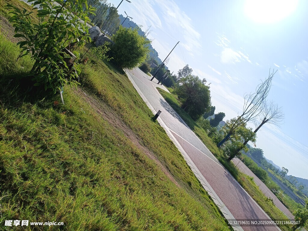 公路旁綠意盎然的風景