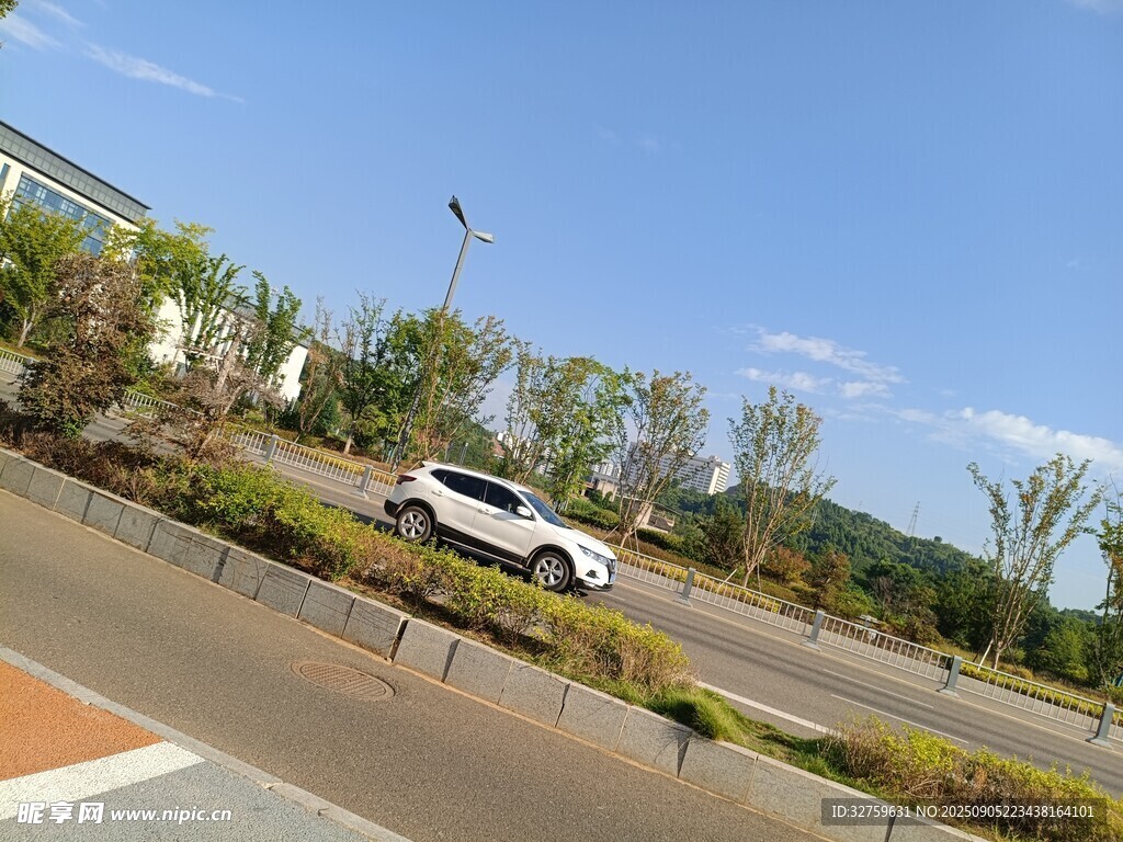 道路旁停放的白色車輛