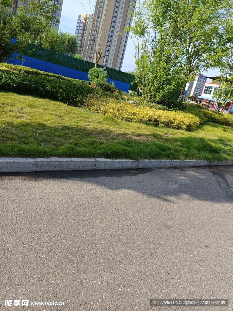 城市路邊綠意盎然景觀