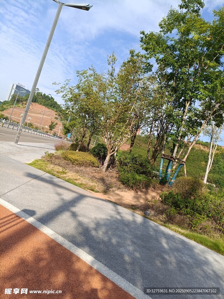 城市中的林蔭步道景觀