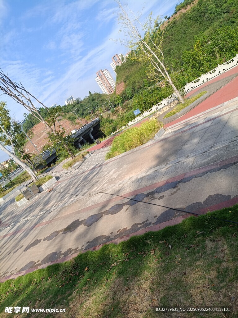 戶外開闊場地風景