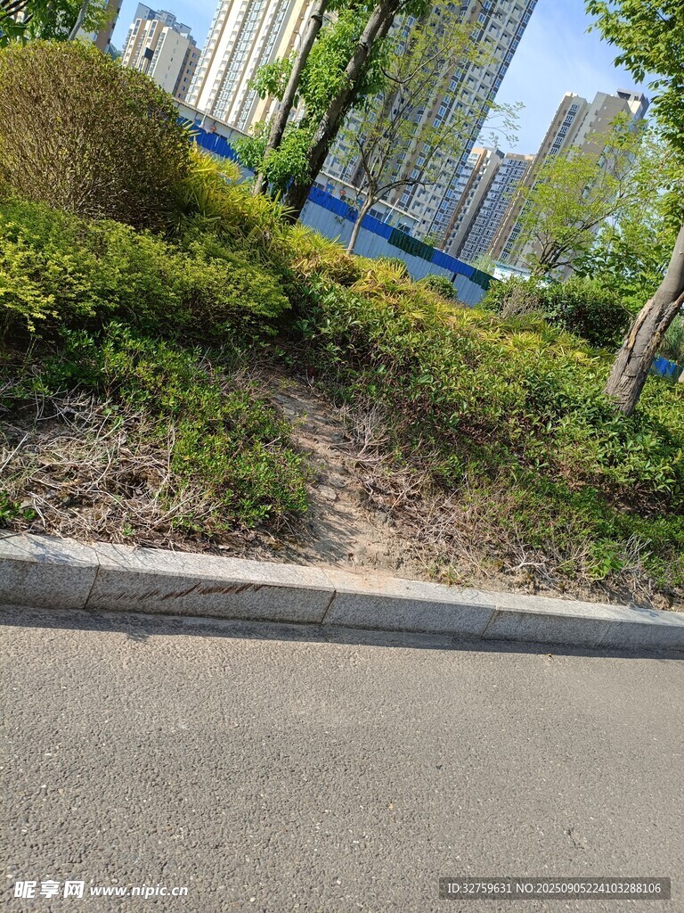 城市路邊綠植景觀