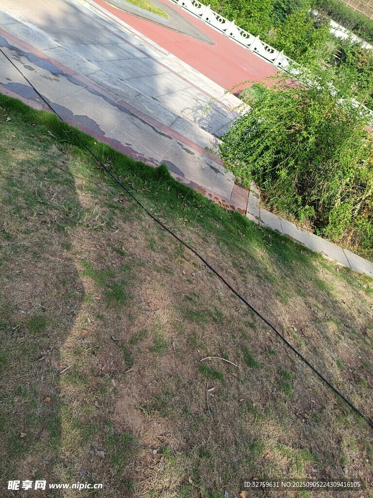 戶外草地與道路場(chǎng)景