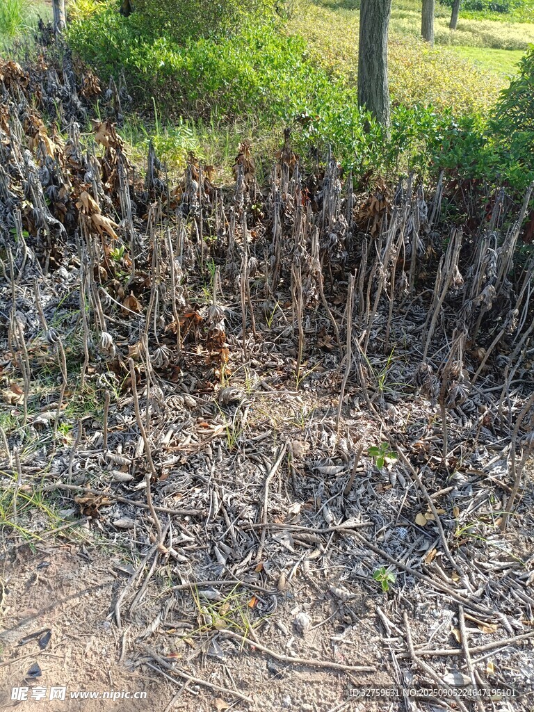 地面塌陷的自然場景