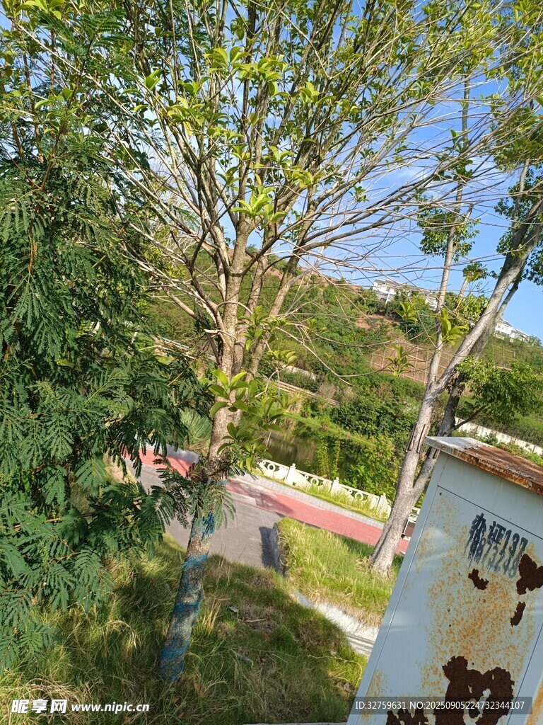 綠樹環(huán)繞的戶外景致
