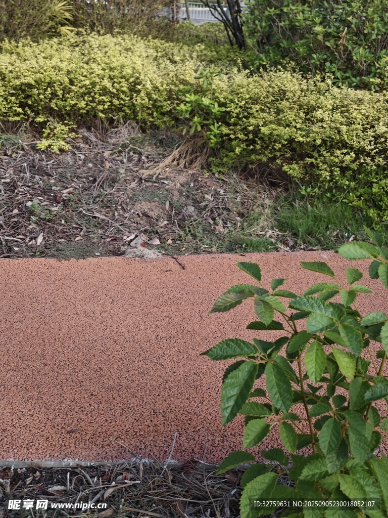 戶外紅石板旁綠植景觀