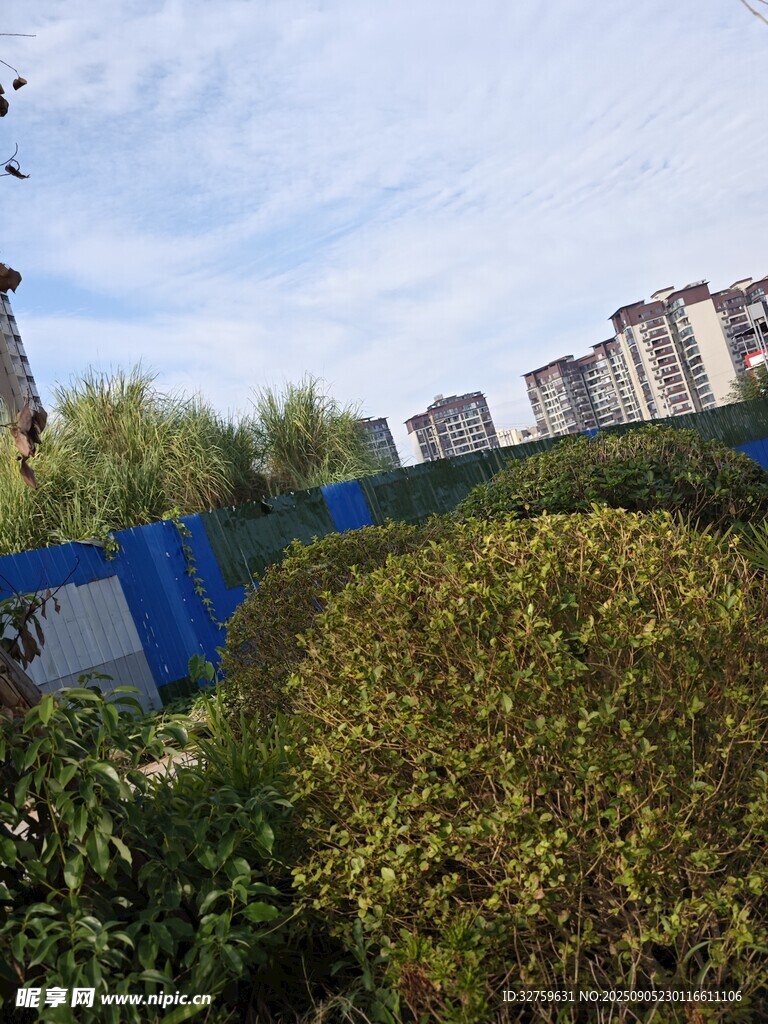 城市綠植與建筑景觀