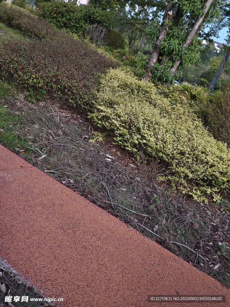 公園中的紅色步道與綠植
