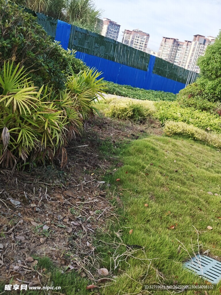 戶(hù)外綠植景觀(guān)一角
