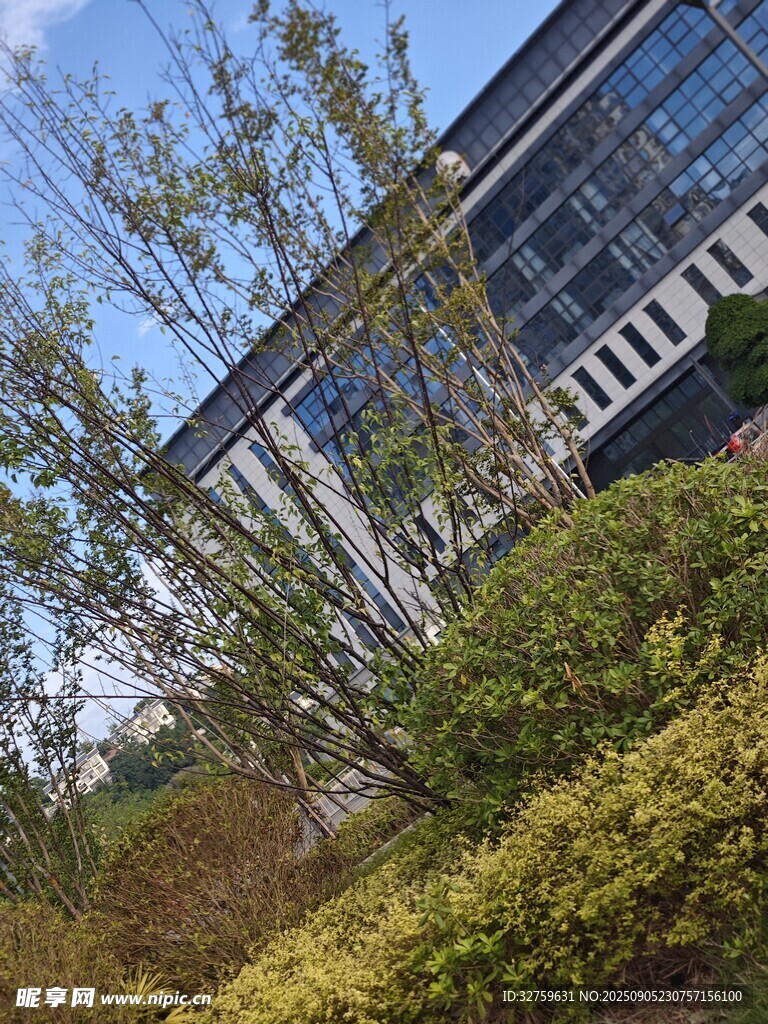 現(xiàn)代建筑旁的綠植景觀