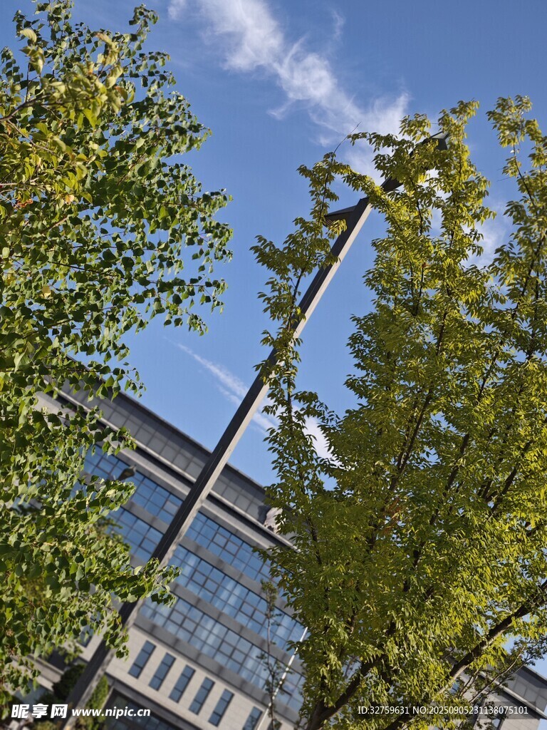秋日校園綠樹與建筑景觀
