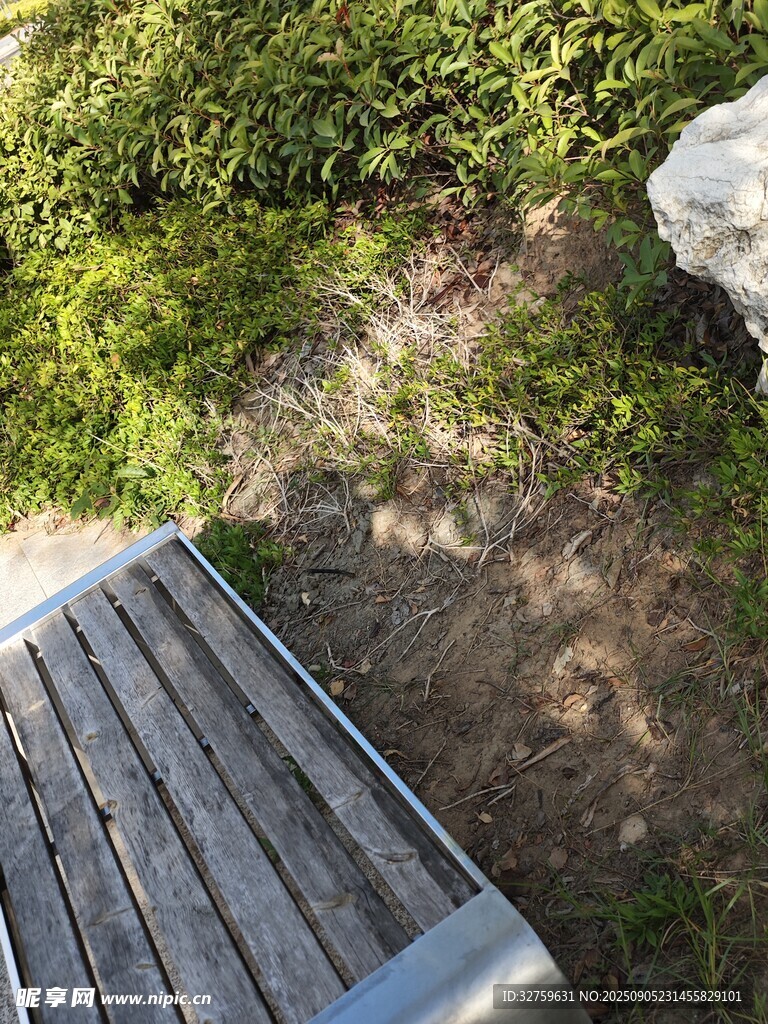 木質(zhì)平臺(tái)旁的綠植與地面