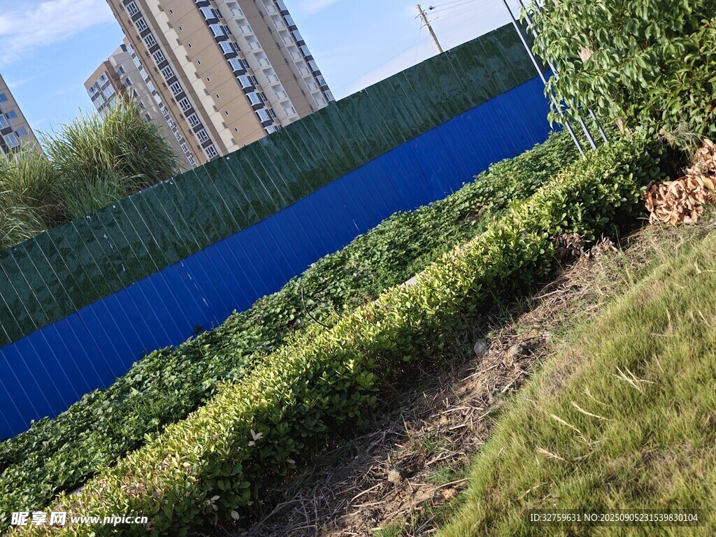 城市綠地旁的藍色圍擋