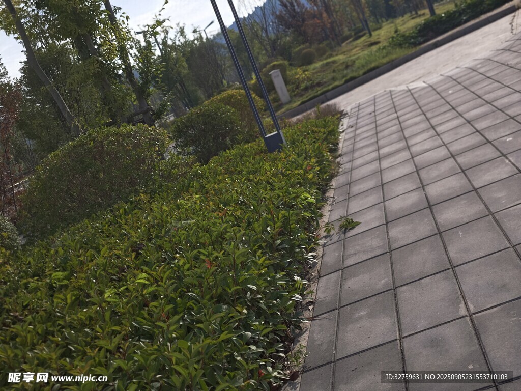 城市園林中的磚石步道景觀