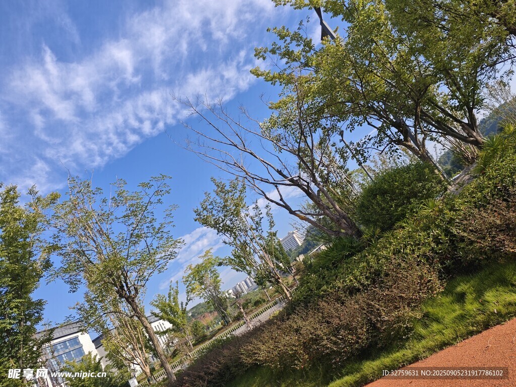 藍(lán)天白云下的綠樹(shù)景觀