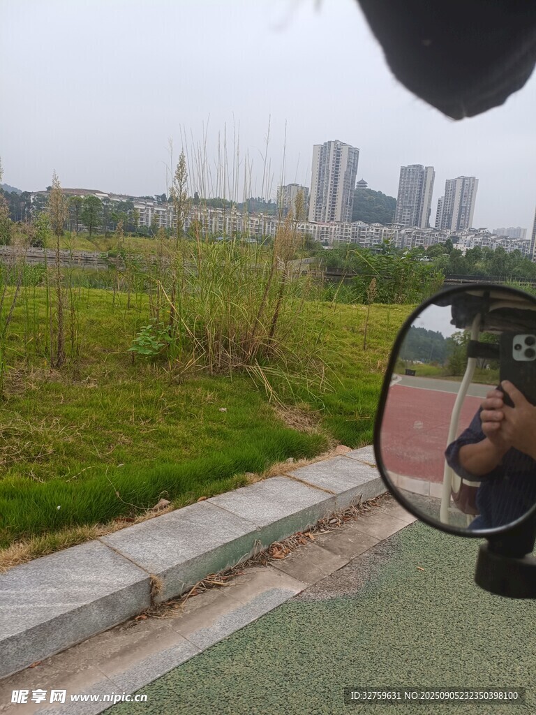 車窗外的草地與城市景觀