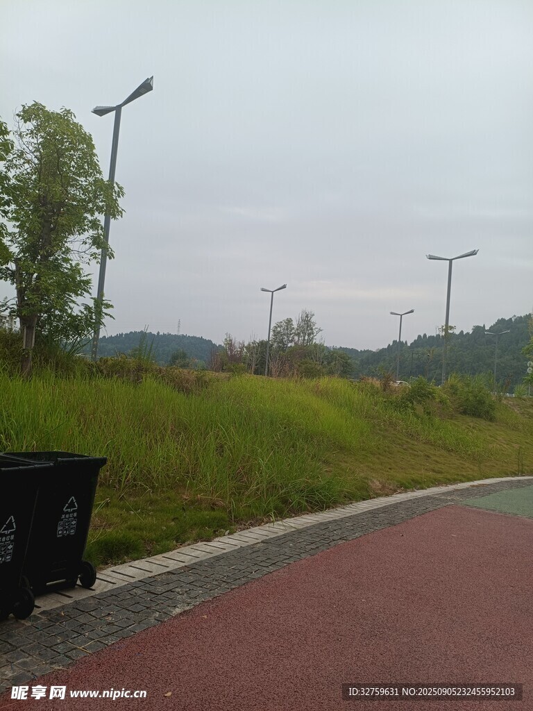 郊外紅道旁的綠植與路燈