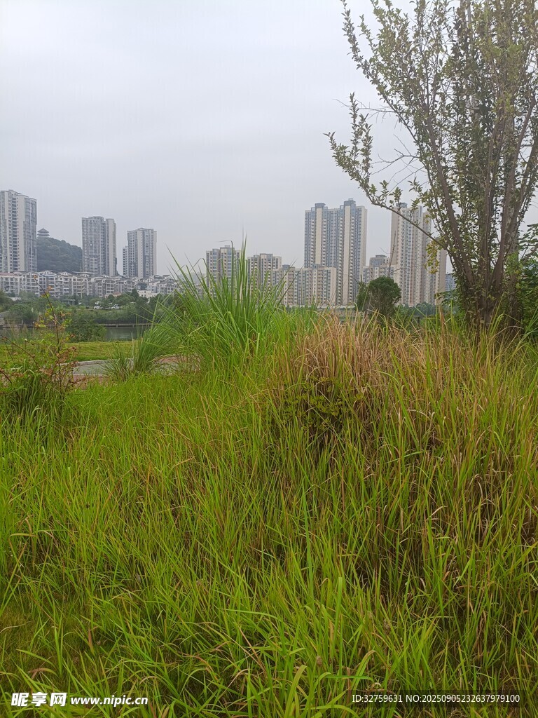 城市邊的綠野風(fēng)光