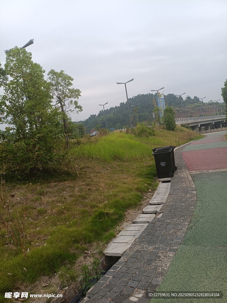 戶外綠道旁的自然景致