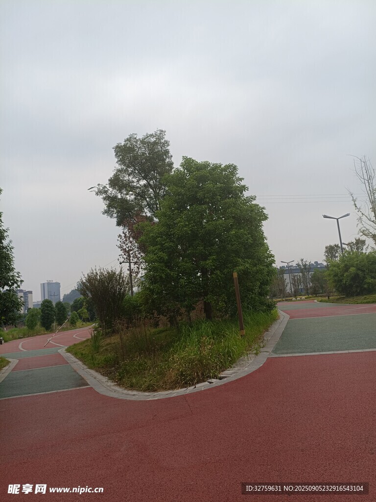戶外彩色步道旁綠植景觀