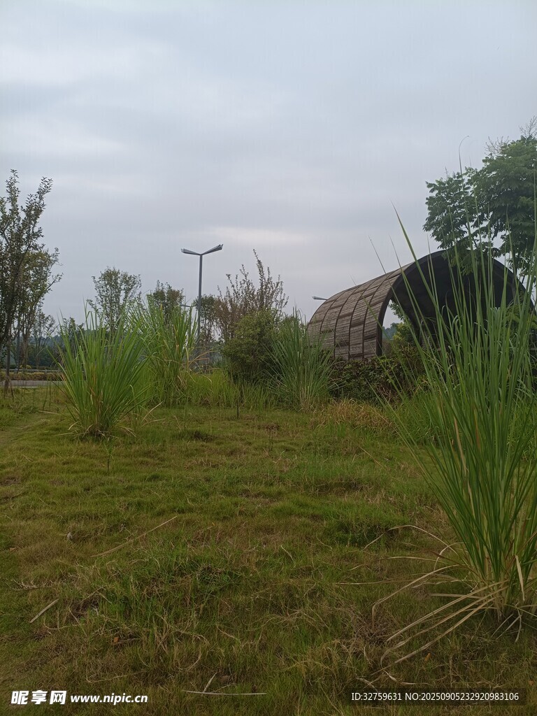 戶(hù)外草地自然風(fēng)景畫(huà)面