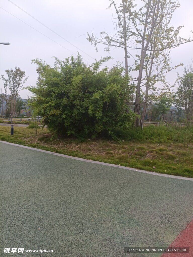 路邊綠植景觀