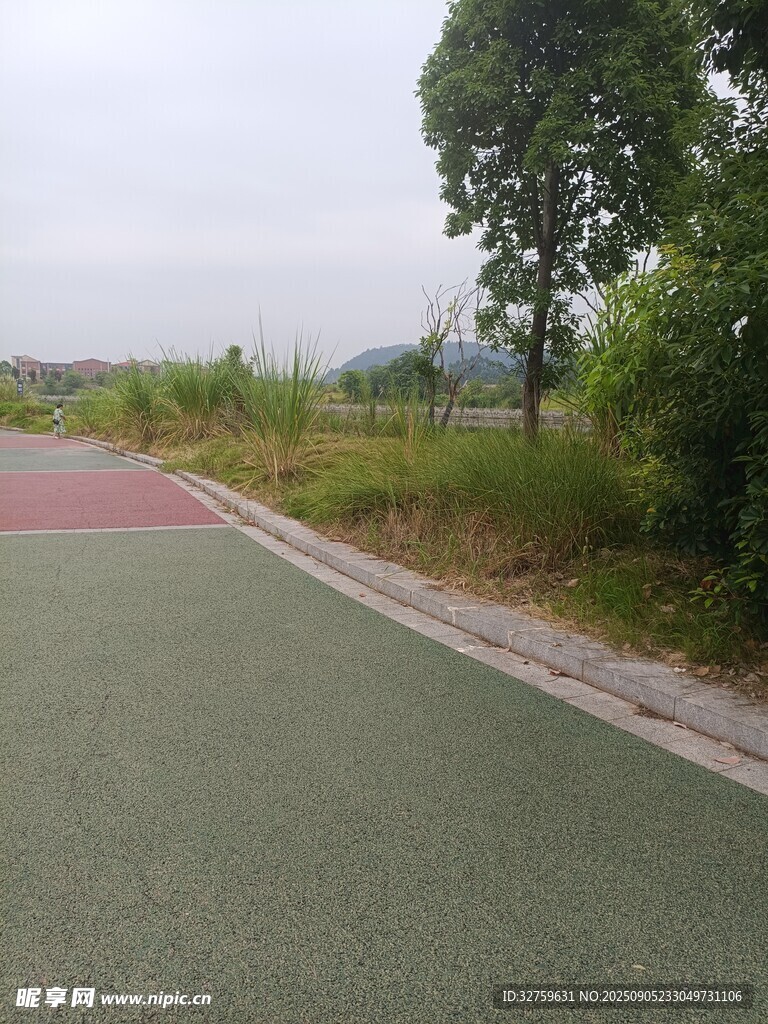 戶外彩色路面與綠植景觀