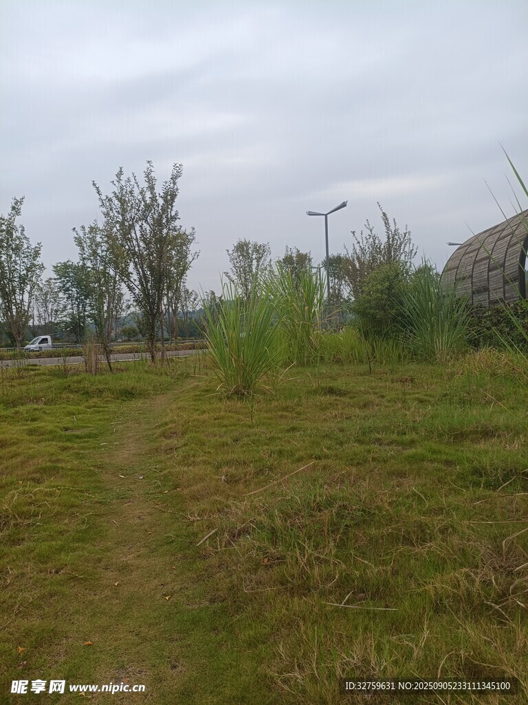 野外草地與樹(shù)木景象