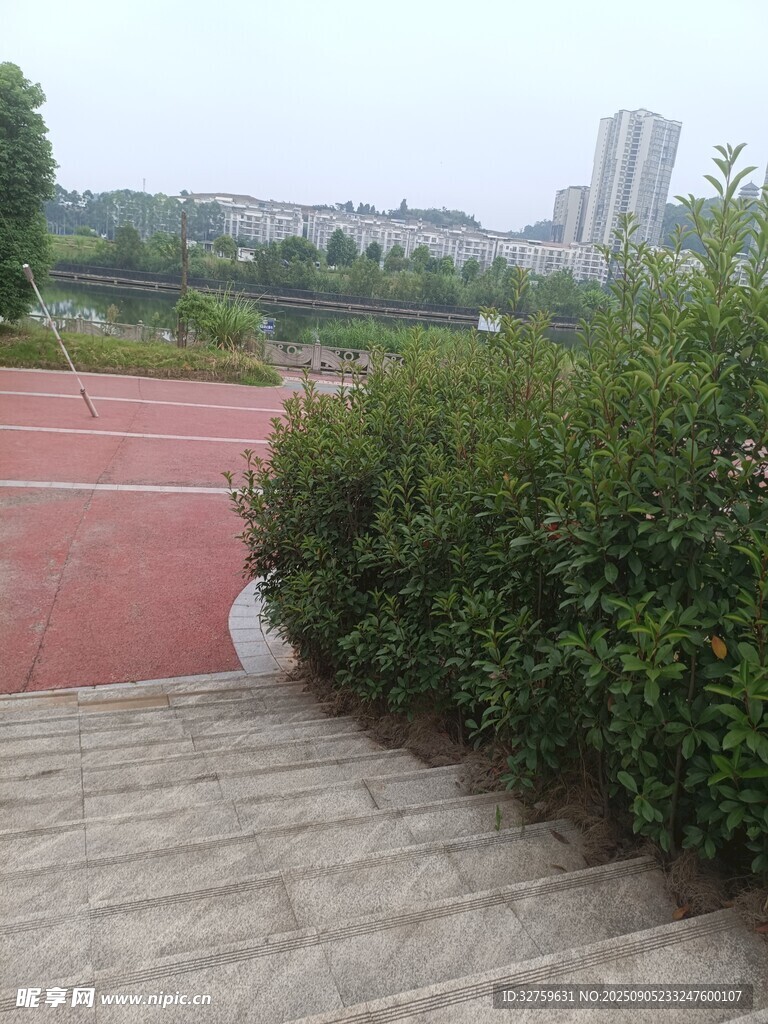 校園操場(chǎng)旁的綠植景觀