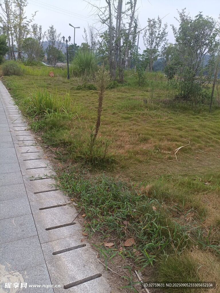 林間石板小徑