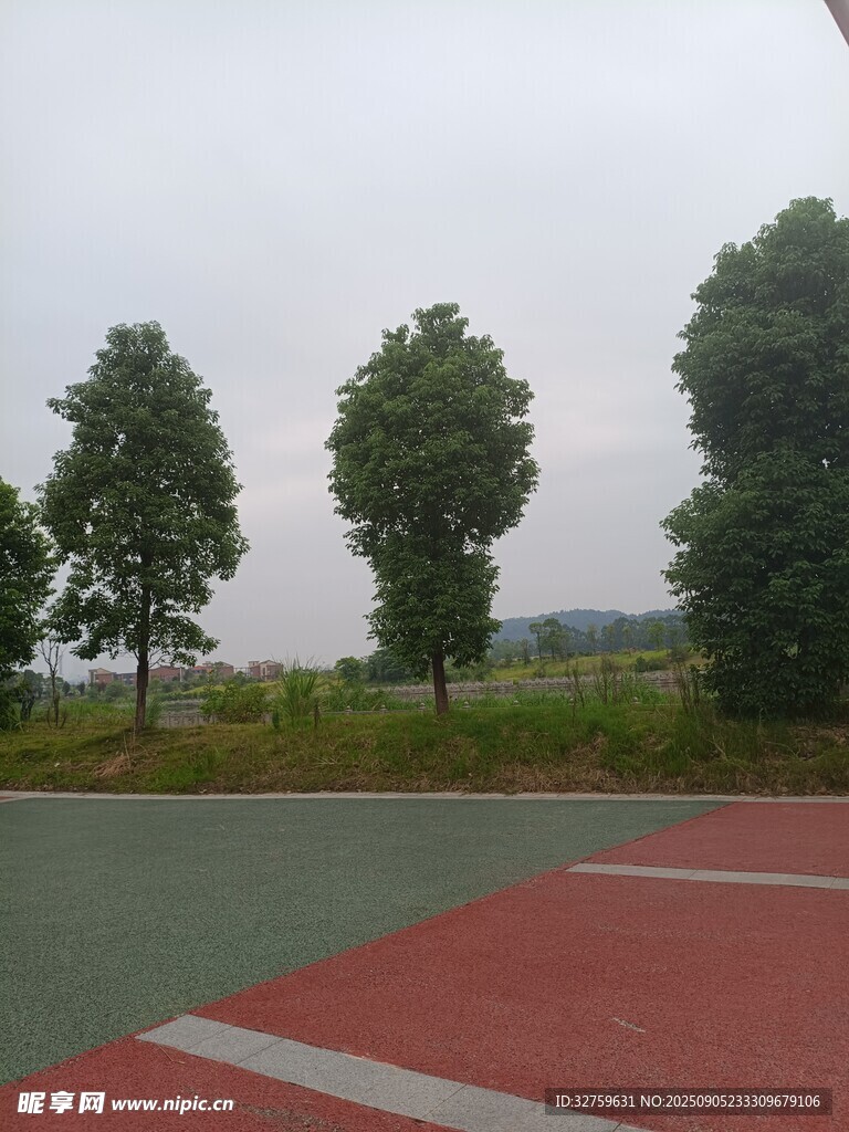 戶外綠樹環(huán)繞的運動場地