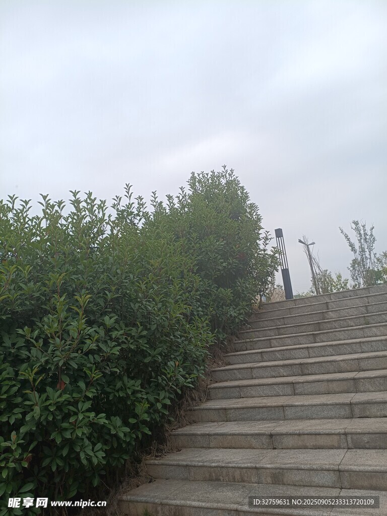 石階旁綠意盎然的景致
