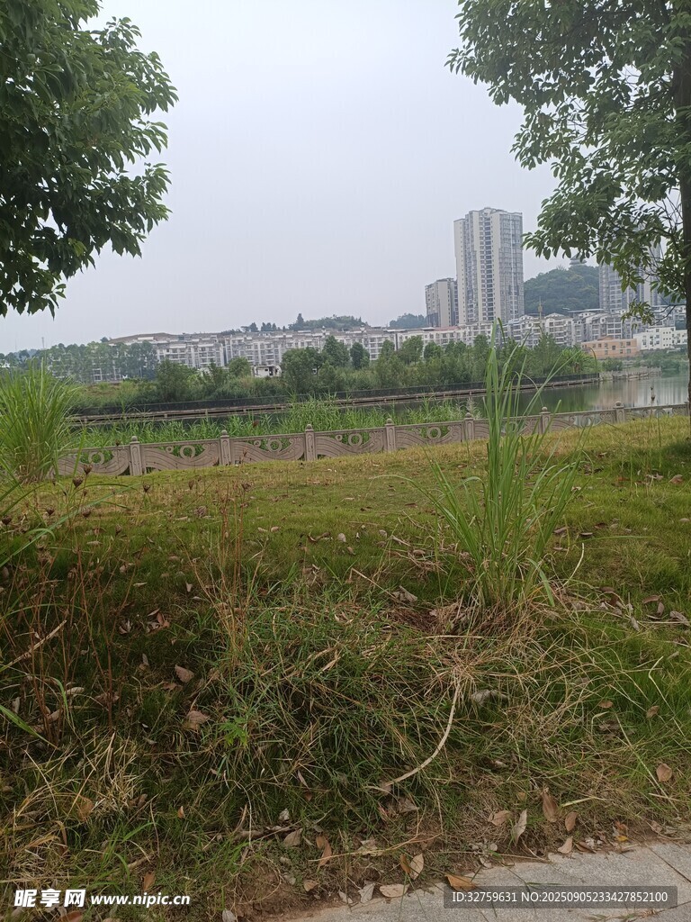 城郊草地與遠(yuǎn)處建筑景觀