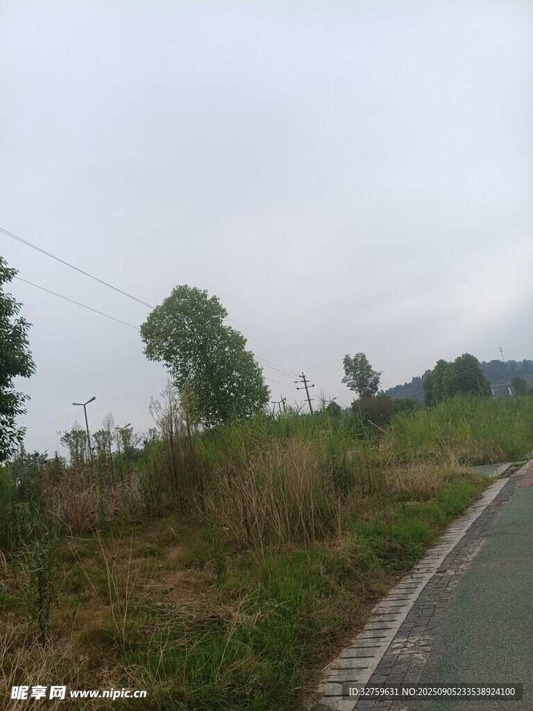 鄉(xiāng)村小路旁的自然景致