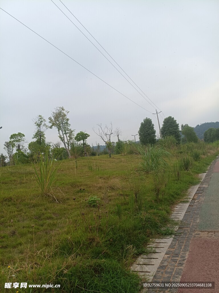 鄉(xiāng)間小路旁的綠意草地
